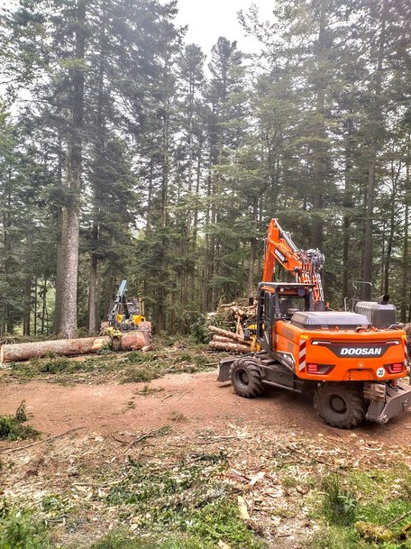 New Doosan DX210W-7 Cuts a Fine Figure in the Forest